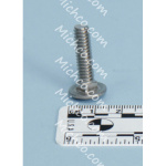 Screw - Carriage Stainless Steel 1/4-20 X 1.00