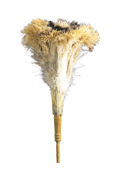 OSTRICH FEATHER DUSTER, 23"#280156