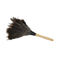 Image of product Economy Ostrich Feather Duster