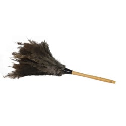 Image of product Economy Ostrich Feather Duster