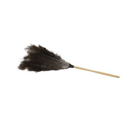 Image of product Economy Ostrich Feather Duster