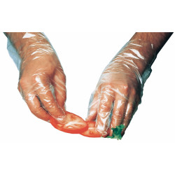 Image of product Disposable Polyethylene Glove Large