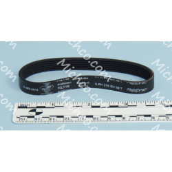 Image of product Belt, Brush (PKG Of 1), FR