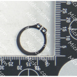 Image of product RING IDLR GEAR STUD 189