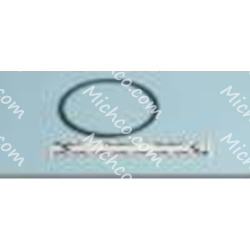 Image of product Ring Retaining Internal 4 FM