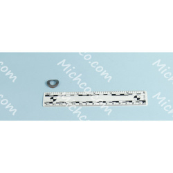 Image of product Washer, Wave - Spring, .38 X .59, Single