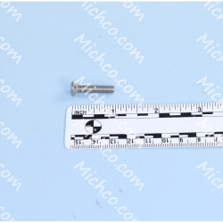 Image of product Screw, Oval Heavy Duty Phillips Head Screw, M5 X 25, Stainless Steel