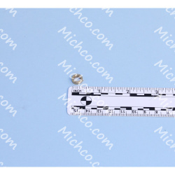 Image of product Bush - Squeegee 9.8