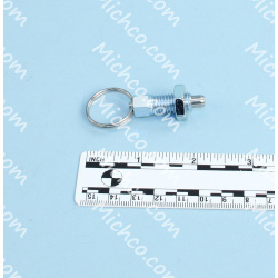 Image of product Plunger M10 D.6 W/nut Sip