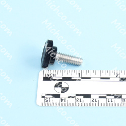 Image of product Thumb Screw, 1/4"-20 x 0.75", SS