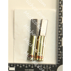 Image of product Brush, Carbon (120V2PK