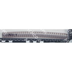 Image of product HOSE PVC W/SPIRAL D.10X16 L.190MM SIP