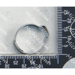Image of product Clamp -1 Ear .669 Diameter 304-Stainless Steel