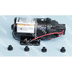 Image of product Pump, 36 Volt 60PSI