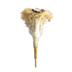 Image of product OSTRICH FEATHER DUSTER, 23"#280156