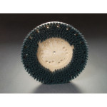 clean-grit scrubbing brush 13" with g-200mm clutch plate