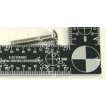 scr-thms 1/4-20 x 1.50 ss