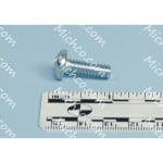 screw, pan heavy duty phillips head screw, 1/4"-20 x 0.75", zinc fp8