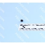 scr soc set loc 5/16-18x.31