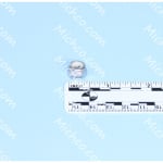 nut 1/4-20 esna type stainless steel