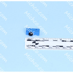 microswitch