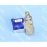 valve / nozzle assembly - 120 volt- restore
