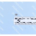 screw, set, soc, m5 x 0.80 x 8, ss