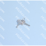 key, replmt, f/80331 (set of 2 robi