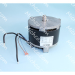 motor assembly