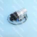 pump- 60psi 115v
