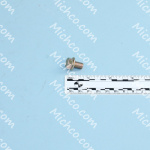 bolt, flange