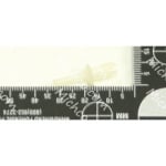 rivet-nylon poly drive