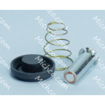 valve kit, water (viton diaphram)