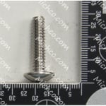 scr-thms 1/4-20 x 1.00 ss