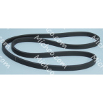 gasket (bladder)