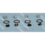 valve kit, w/org, replmt (r14)