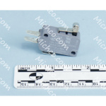 microswitch