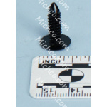 plug, hole, rnd, 0.19h 0.7l, brb, p