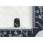 screw-m6x8 hex set blk ox