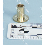 bushing wheel squeegee